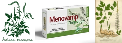 Cimicífuga, el gran remedio natural para los trastornos hormonales de la mujer